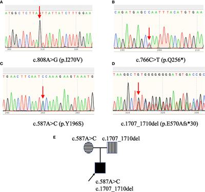 Identification and In Vitro Functional Verification of Two Novel Mutations of GHR Gene in the Chinese Children with Laron Syndrome
